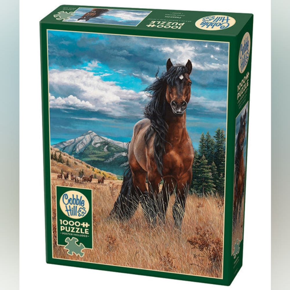 Cobble Hill 1000 pc Puzzle titled Freedom and poster New/sealed